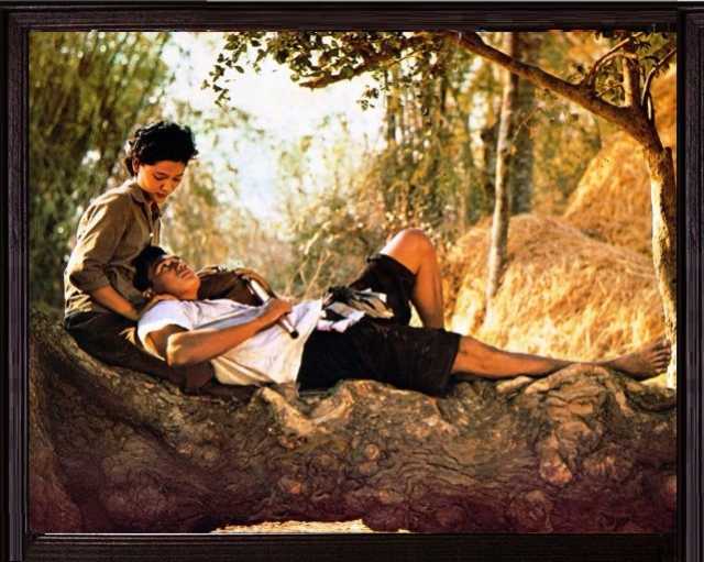 ★ มรดกหนังไทย "แผลเก่า" (2520) ผลงานสร้างและกำกับของ เชิด ทรงศรี