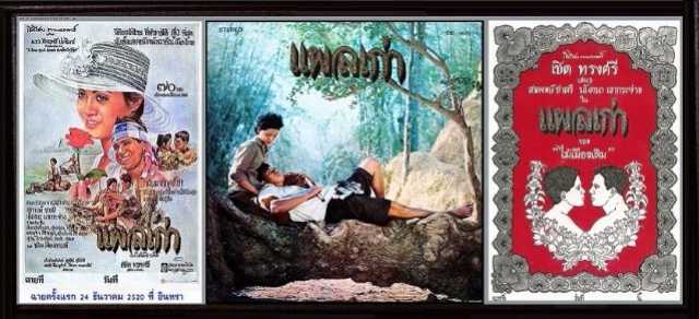 ★ มรดกหนังไทย "แผลเก่า" (2520) ผลงานสร้างและกำกับของ เชิด ทรงศรี