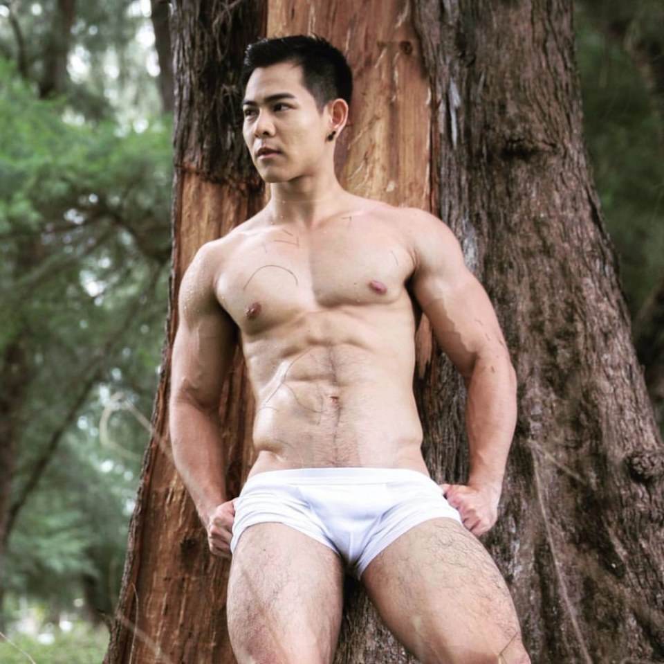 โดน..ม้างป่าว