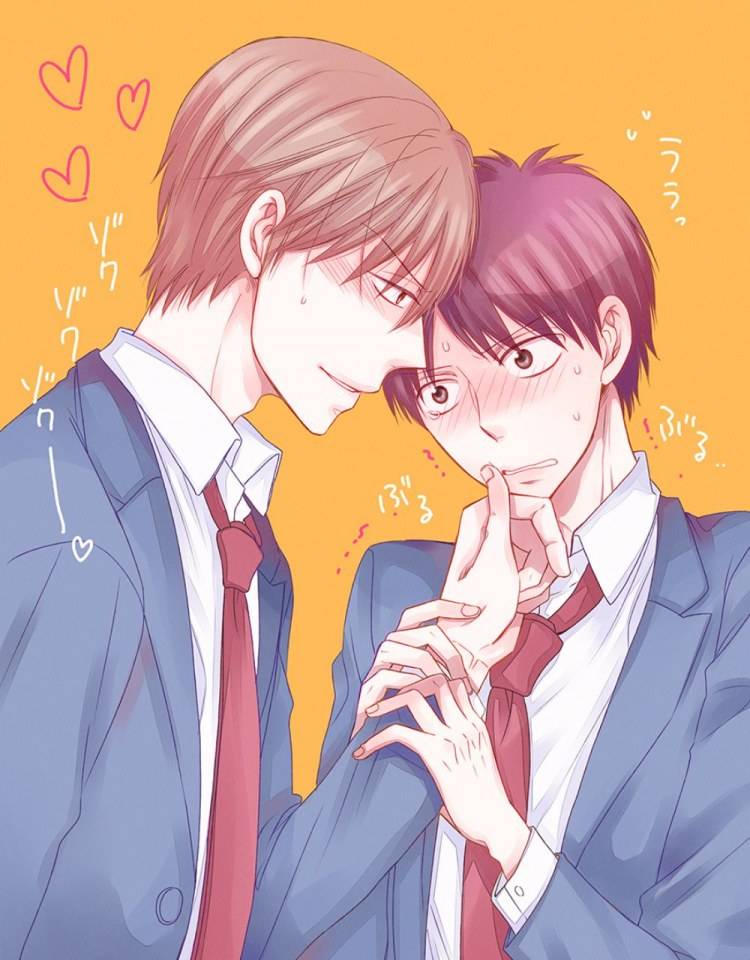 YAOI 441