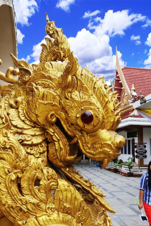 อย่านอนอย่างเดียว 5