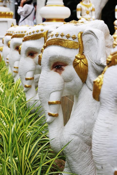 อย่านอนอย่างเดียว 5