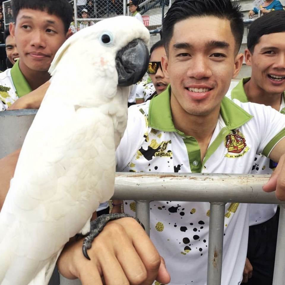 พี่ทหารคนนี้เริ่ดสุด  ใครเถียงโดนบารวีตบ 1,947