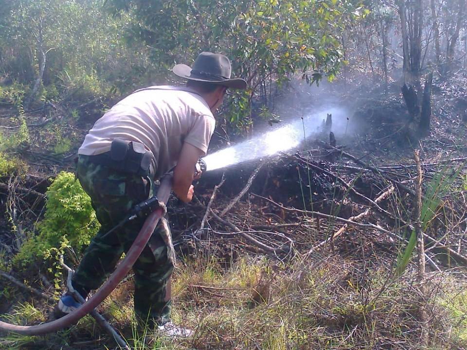 ดับไฟป่าพรุ