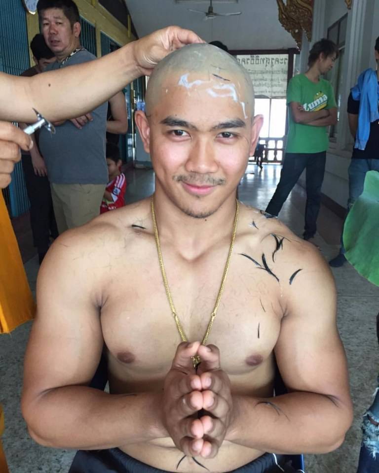 หมีล่ำน่ารัก