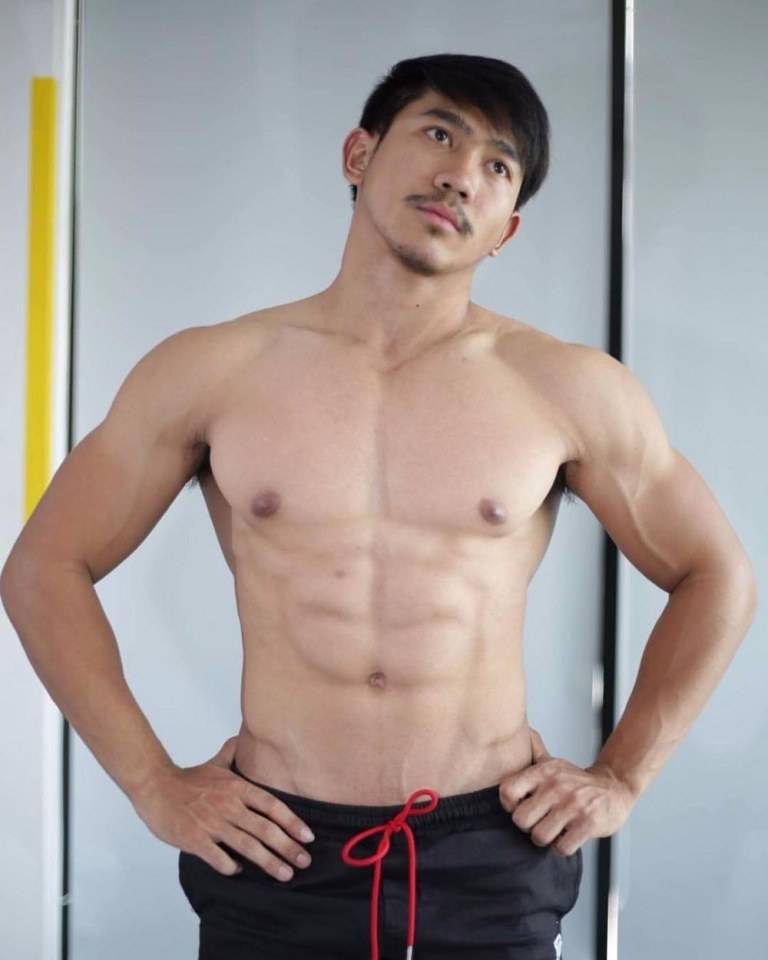 หมีล่ำน่ารัก