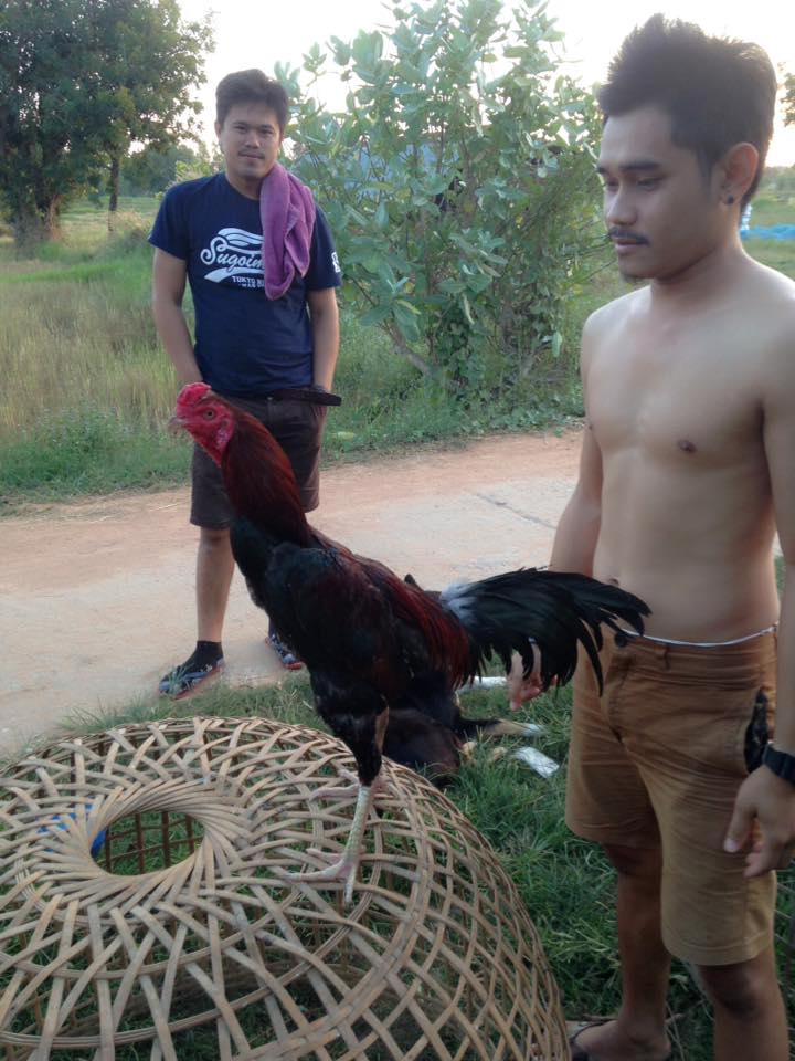 หลากหลายแนว อิอิมักหลาย