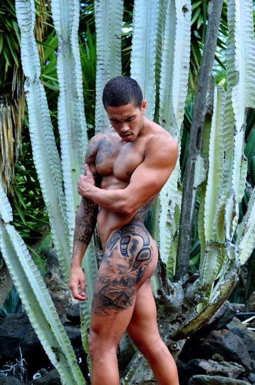 hot male 151 (18+)