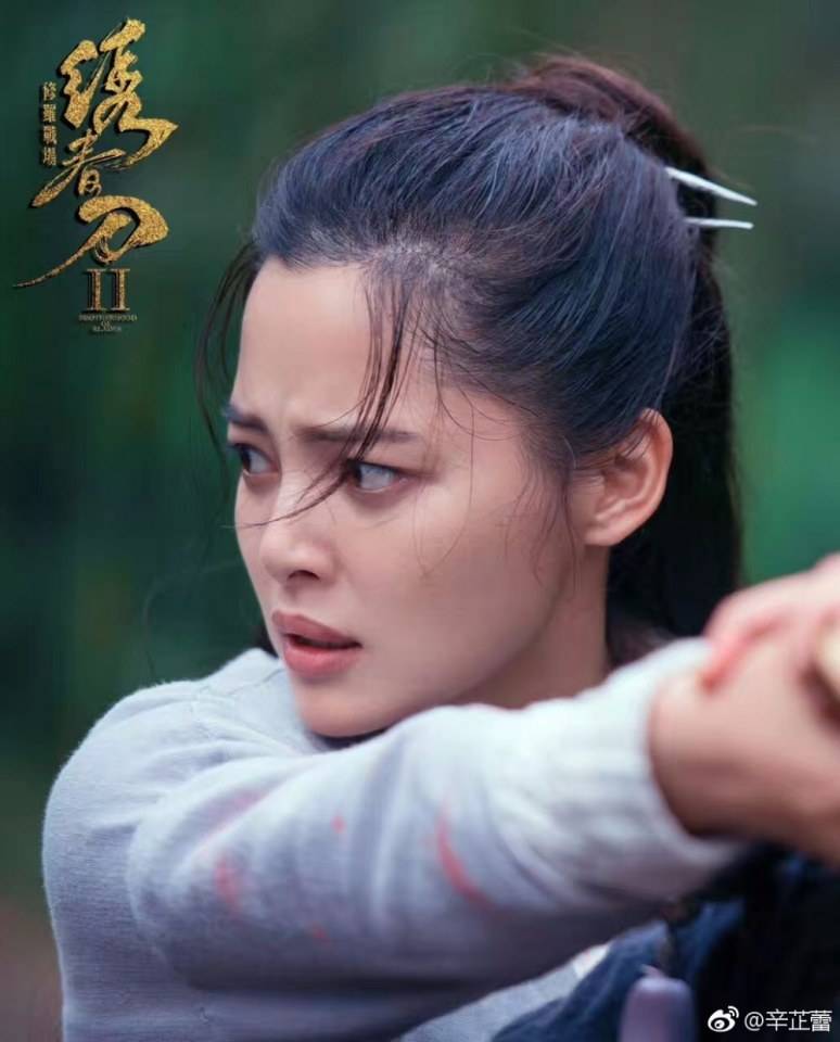 Brotherhood of Blades 2《绣春刀2修罗战场》2016 part6