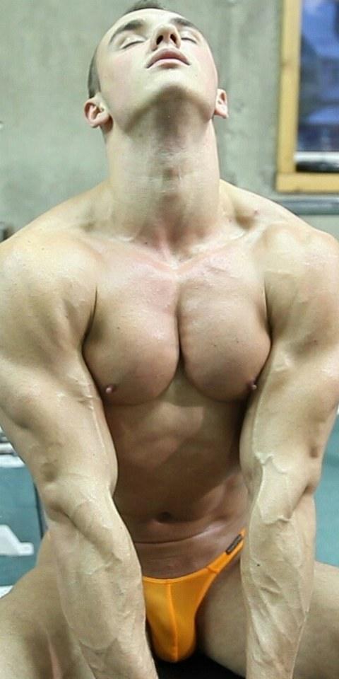 hot male 161 (18+)