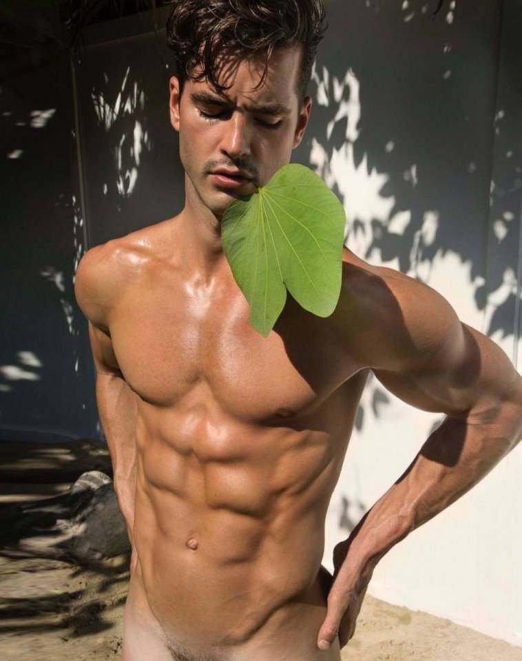 hot male 199 (18+)