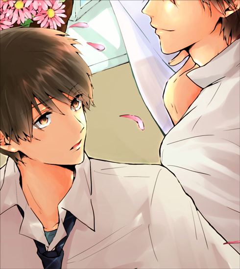 YAOI 456