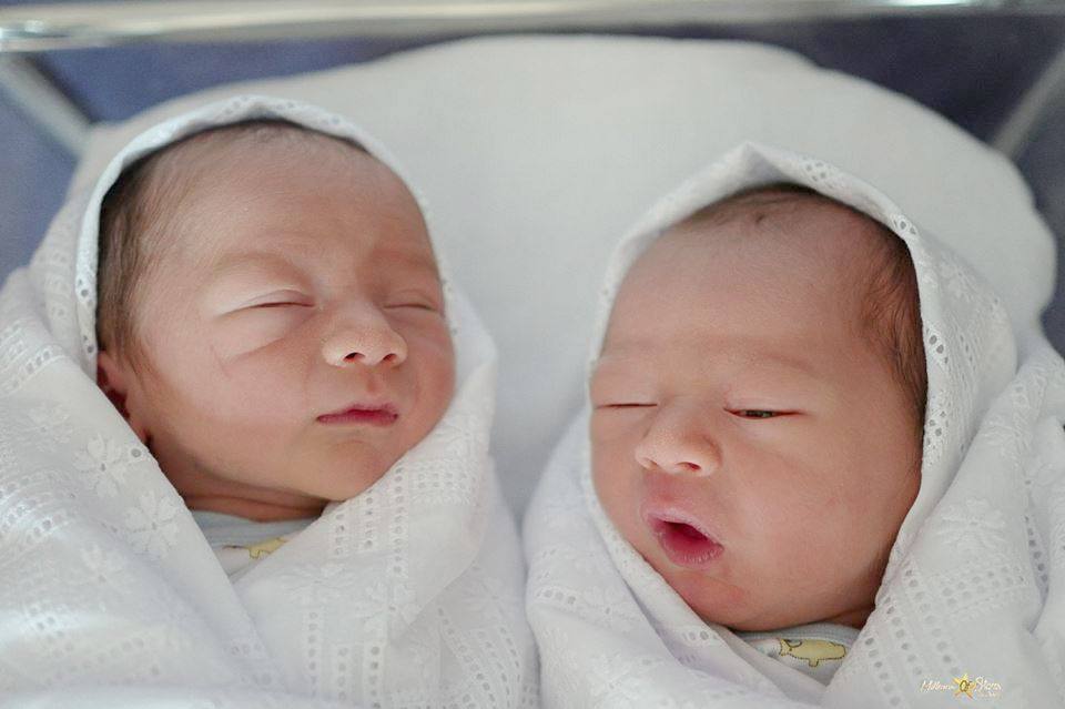น้องสายฟ้า&น้องพายุ ลูกแม่ชม มารายงานตัวแล้วครับ