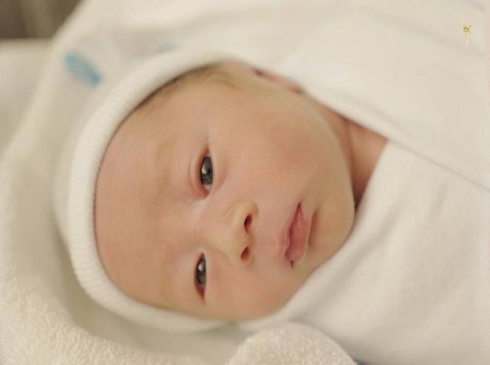 น้องสายฟ้า&น้องพายุ ลูกแม่ชม มารายงานตัวแล้วครับ