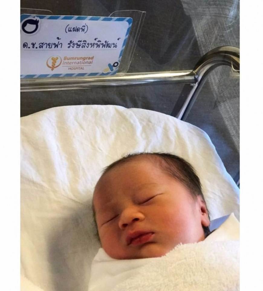 น้องสายฟ้า&น้องพายุ ลูกแม่ชม มารายงานตัวแล้วครับ