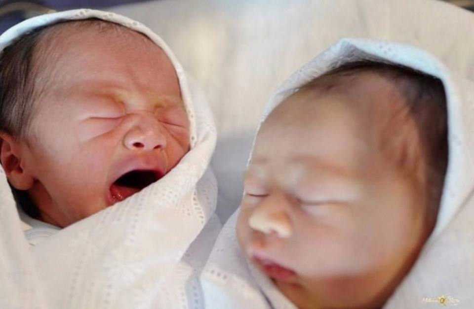 น้องสายฟ้า&น้องพายุ ลูกแม่ชม มารายงานตัวแล้วครับ