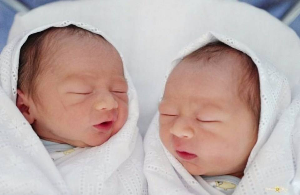 น้องสายฟ้า&น้องพายุ ลูกแม่ชม มารายงานตัวแล้วครับ