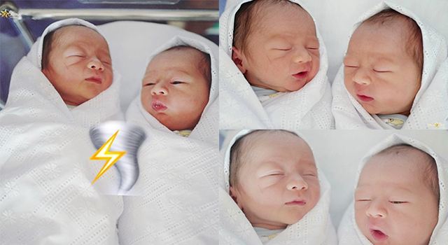 น้องสายฟ้า&น้องพายุ ลูกแม่ชม มารายงานตัวแล้วครับ