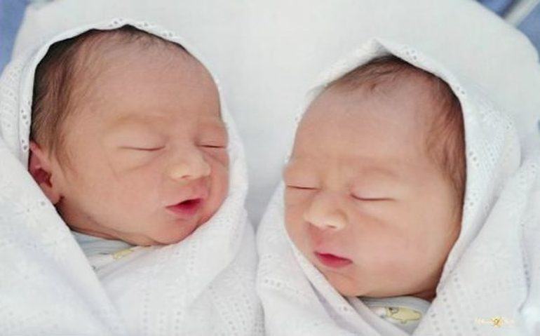 น้องสายฟ้า&น้องพายุ ลูกแม่ชม มารายงานตัวแล้วครับ