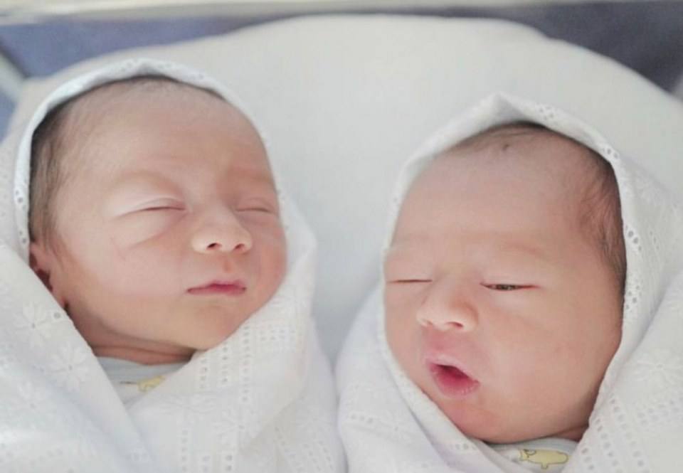 น้องสายฟ้า&น้องพายุ ลูกแม่ชม มารายงานตัวแล้วครับ
