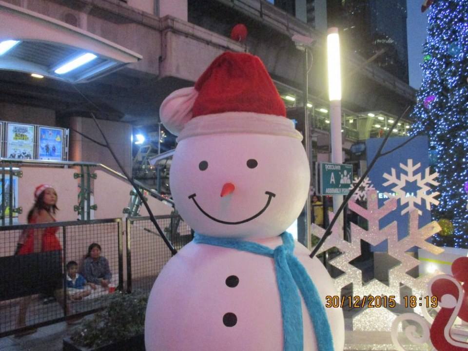 ตุ๊กตาหิมะเมื่อปลายปี 2015