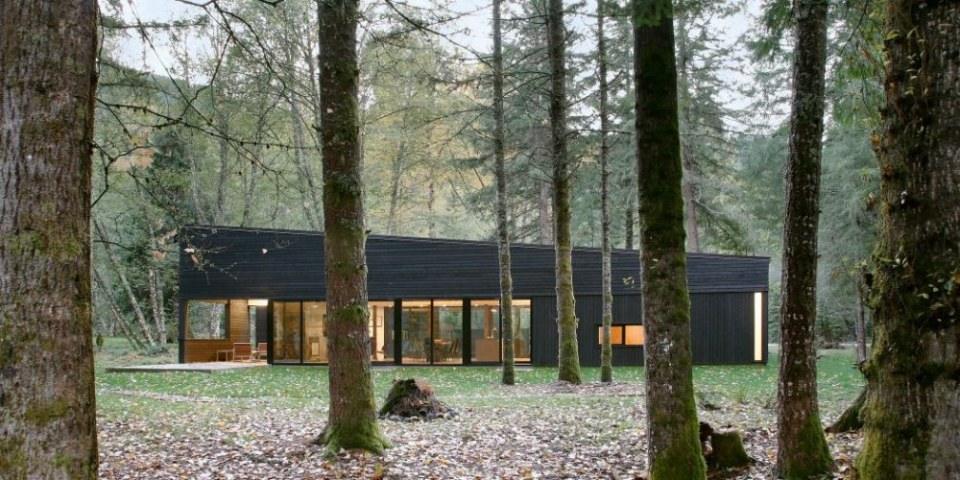 Courtyard House by Robert Hutchison Architecture