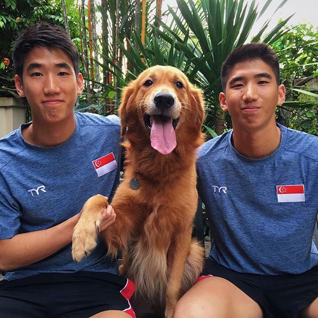 Mark & Timothy Lee นักกระโดดน้ำฝาแฝดชาวสิงคโปร์