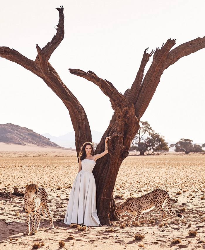 Angelina Jolie @ Harper's Bazaar US November 2017