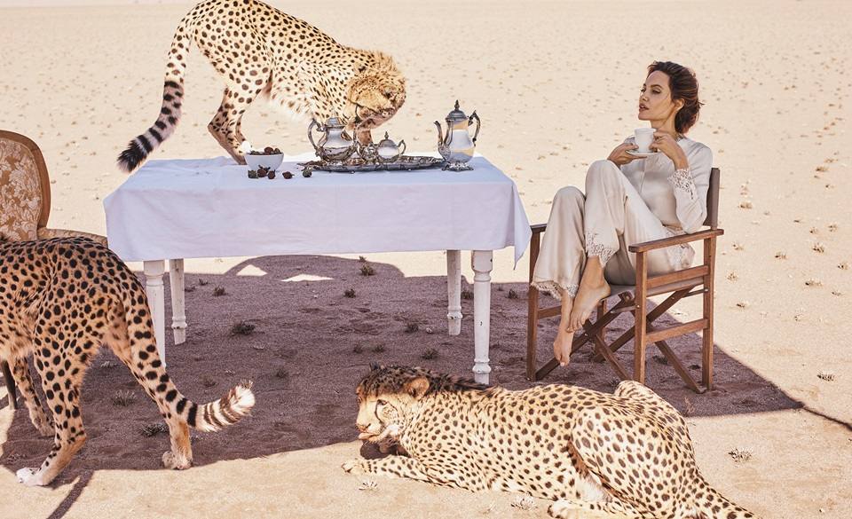 Angelina Jolie @ Harper's Bazaar US November 2017