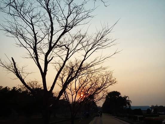 สวนพุทธ