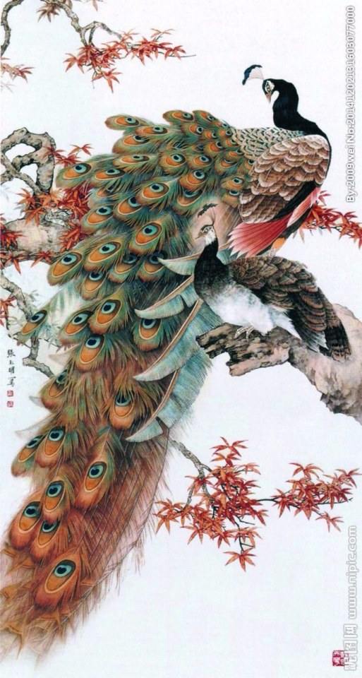 ตระการตา “ภาพวาดนกยูง” ผ่านปลายพู่กันจีน