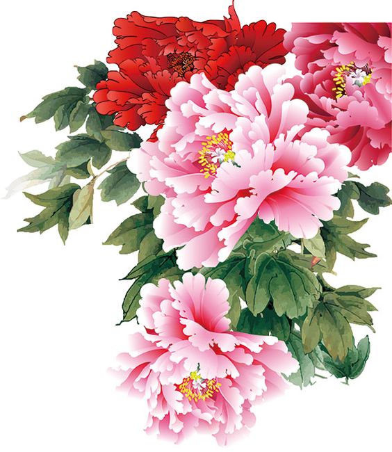 ความยิ่งใหญ่ ของศิลปะจีน การเขียนภาพ ดอกโบตั๋น (Peony) ในภาษาไทยว่า "นางพญานิรมล"