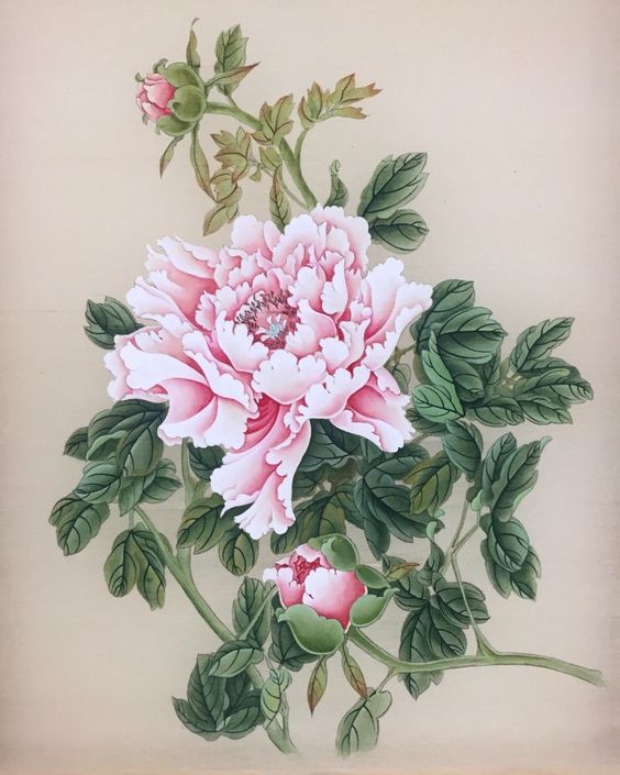 ความยิ่งใหญ่ ของศิลปะจีน การเขียนภาพ ดอกโบตั๋น (Peony) ในภาษาไทยว่า "นางพญานิรมล"