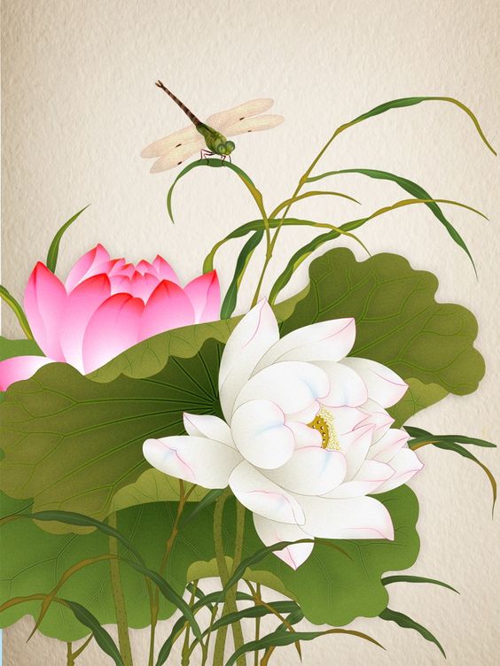 ความยิ่งใหญ่ ของศิลปะจีน การเขียนภาพ ดอกโบตั๋น (Peony) ในภาษาไทยว่า "นางพญานิรมล"