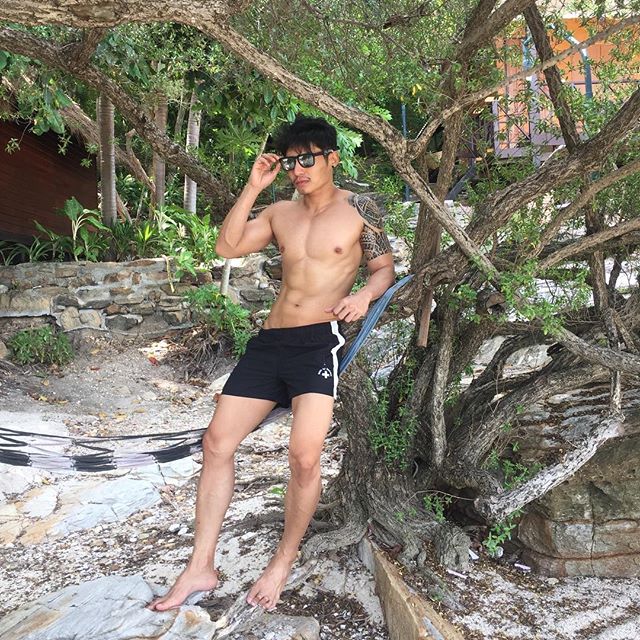 หมีมั๊ยยู