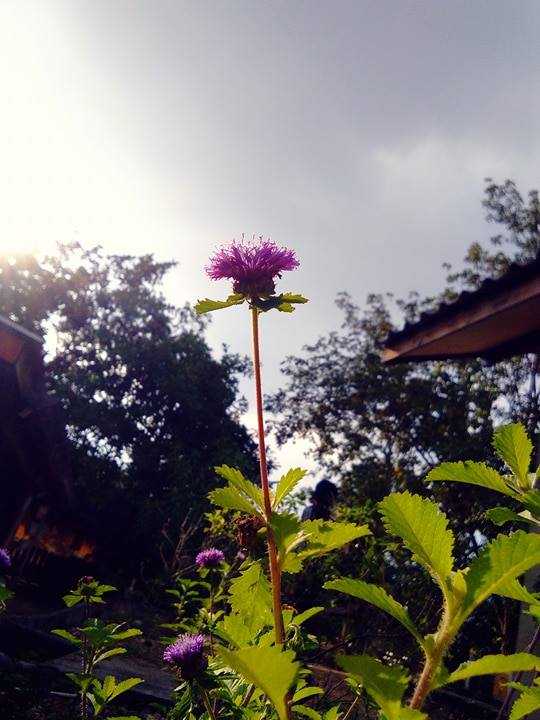 เที่ยวสบปราบก่อนหน้าหนาว