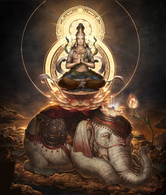 พระสมันตภัทรโพธิสัตว์ พระโพธิสัตว์ผู้เป็นตัวแทนของความกรุณาและสมาธิที่ดิ่งลึกของพระพุทธเจ้าทุกพระองค์