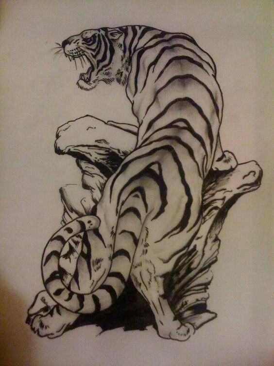 ความยิ่งใหญ่ ของ การเขียน ภาพวาดเสือโคร่ง เกาหลีและจีน