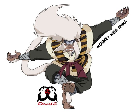 Naruto Shippuuden นารูโตะ 003
