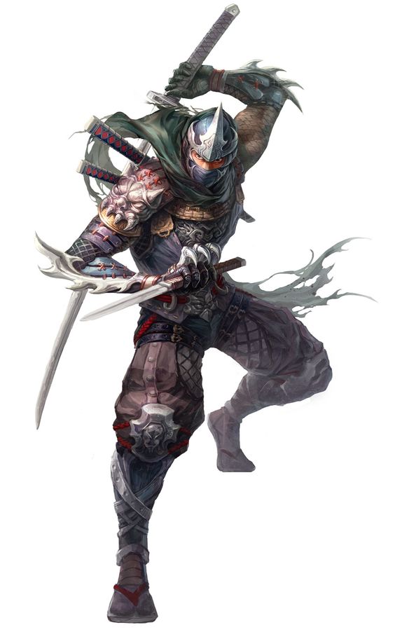 Ninja Gaiden