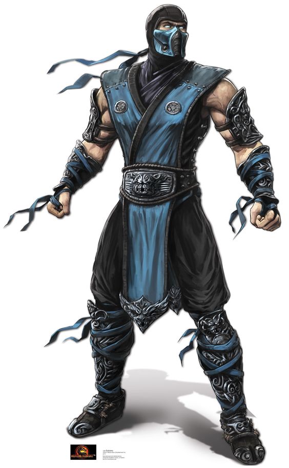 Ninja Gaiden
