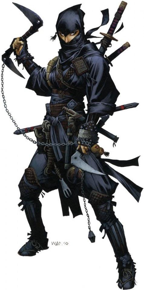 Ninja Gaiden