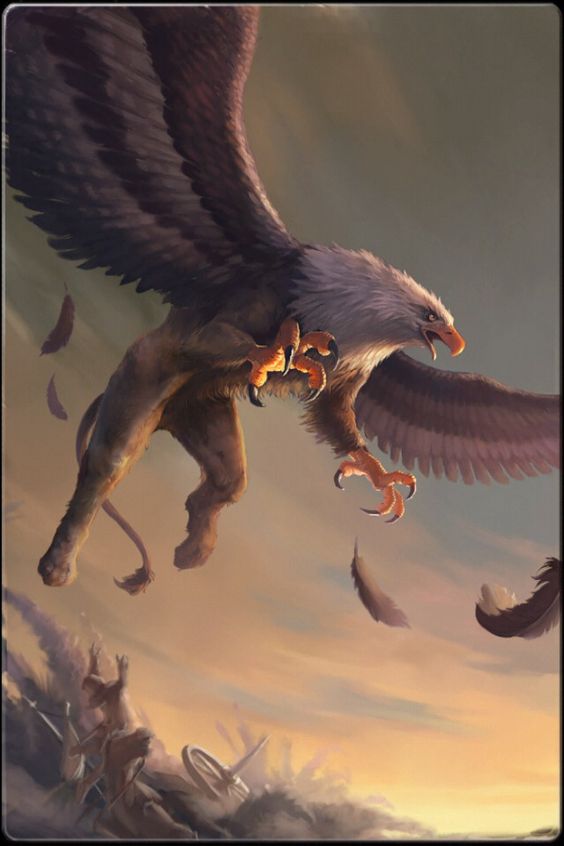 กริฟฟอน หรือ กริฟฟิน (Griffin,Gryphin,Griffon,Gryphon) คือสัตว์ในเทพนิยายเป็นครึ่งนกอินทรี ครึ่งสิงโต โดยส่วนหัว ขาคู่หน้าและปีกเป็นนกอินทรี ส่วนลำตัวและขาคู่หลังเป็นสิงโต และมีหางเป็นงู
