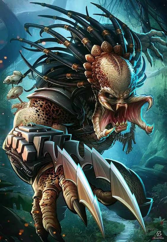Predator (โมเดลพรีเดเตอร์)