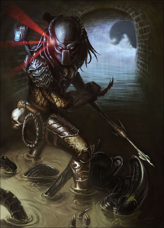 Predator (โมเดลพรีเดเตอร์)