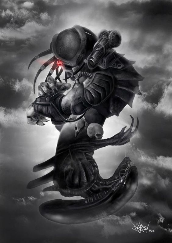 Predator (โมเดลพรีเดเตอร์)