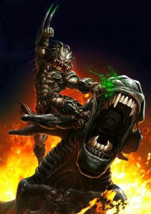 Predator (โมเดลพรีเดเตอร์)