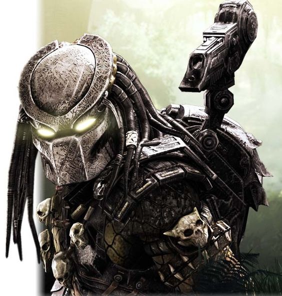 Predator (โมเดลพรีเดเตอร์)