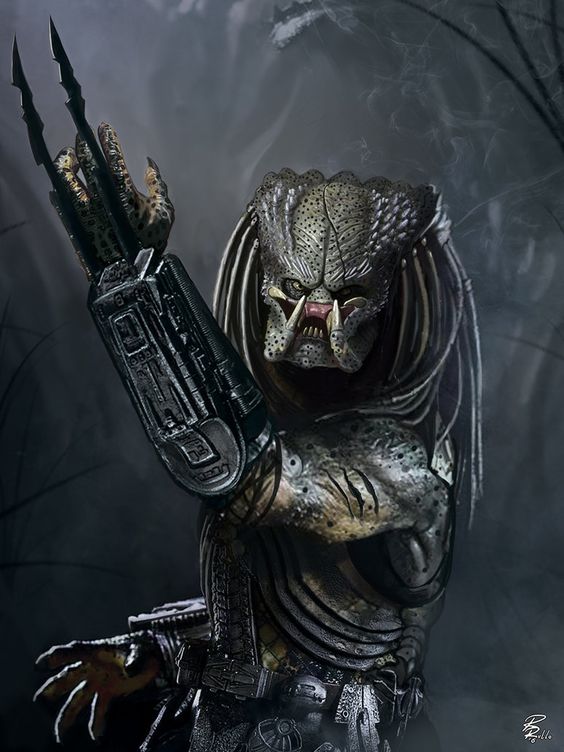 Predator (โมเดลพรีเดเตอร์)