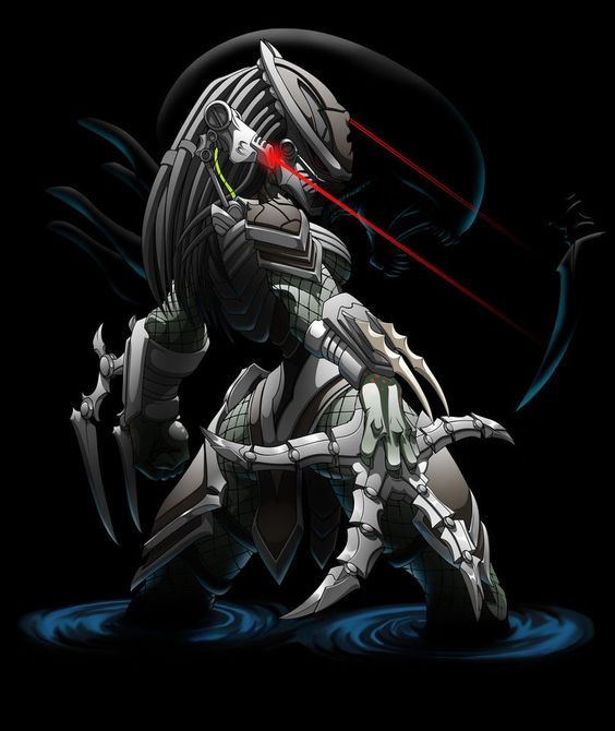 Predator (โมเดลพรีเดเตอร์)